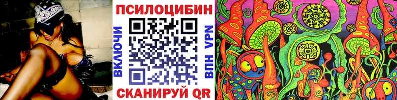 kraken   Волгодонск  Псилоцибиновые грибы GOLDEN TEACHER 